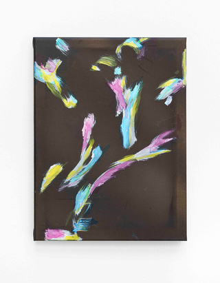 untited, 2022, Acrylic on Polyester